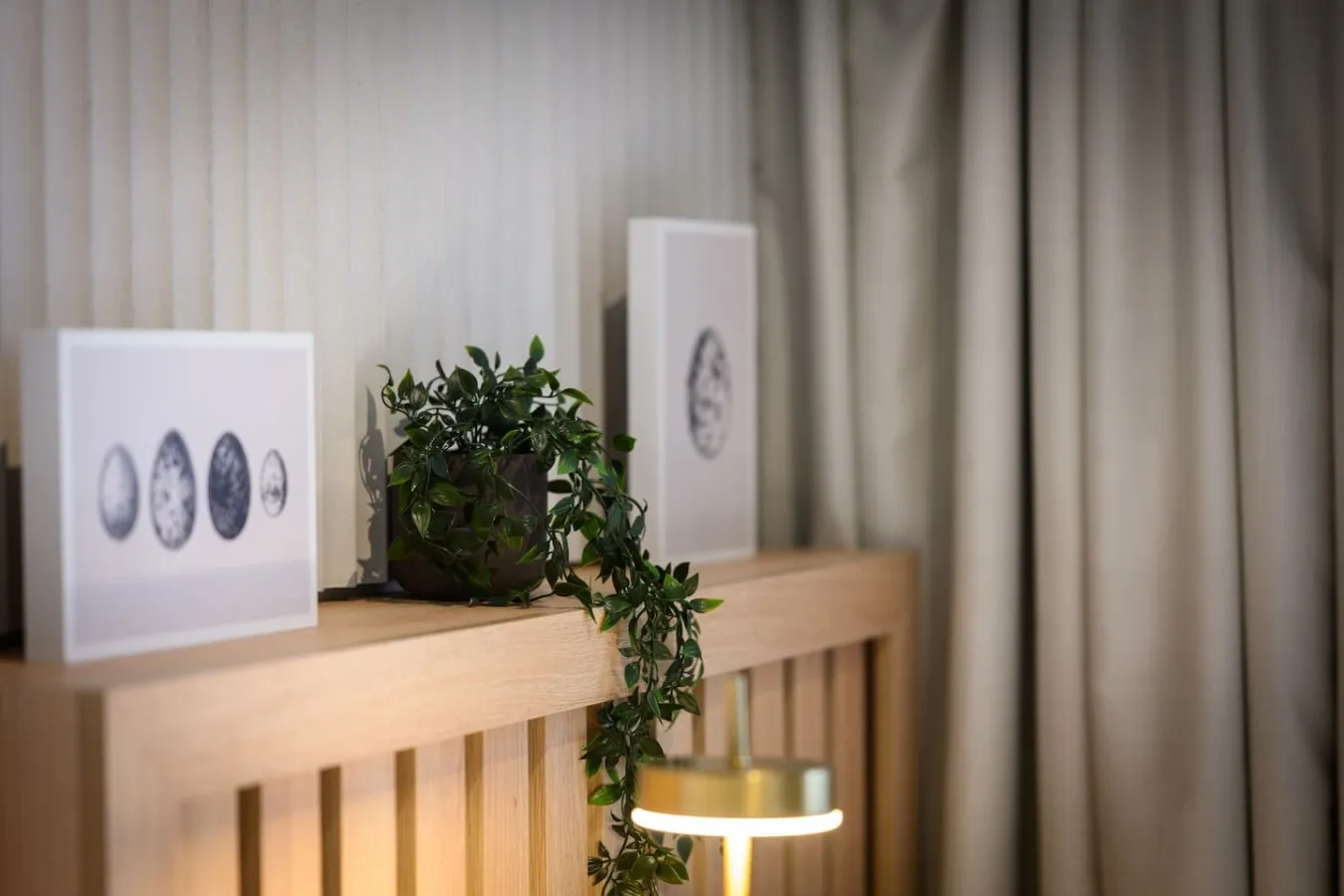 Libera 604 Studio – fotografija 6